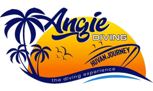 Angie Diving